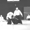 Edmund Kern Sensei 8. Dan Kyoshi in Lünen 2008